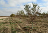 Terreno no urbanizable en venta en la Tomelloso, ref: TR7660 foto