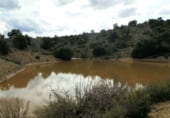 Finca rústica en venda a la Balazote, ref.: TR7653 foto