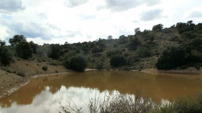 Albacete - Balazote - 4750000m2