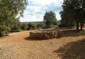 Finca rústica en venda a la Balazote, ref.: TR7653 foto