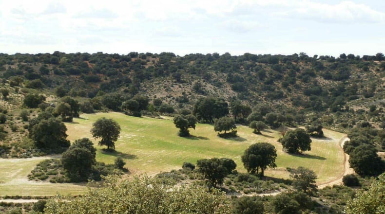 Albacete - Balazote - 4750000m2