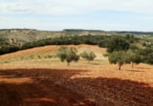 Finca rústica en venda a la Balazote, ref.: TR7653 foto