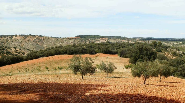 Albacete - Balazote - 4750000m2