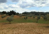 Finca rústica en venda a la Balazote, ref.: TR7653 foto