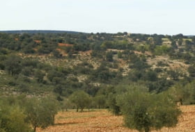 Foto 9