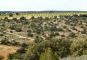 Finca rústica en venda a la Balazote, ref.: TR7653 foto
