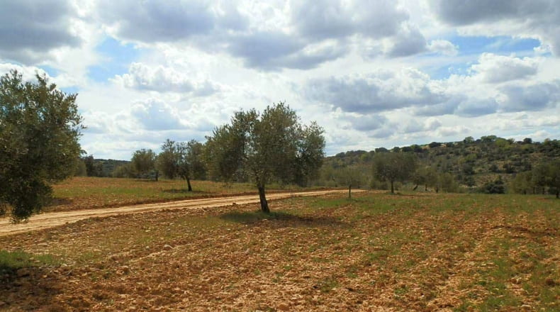 Albacete - Balazote - 4750000m2