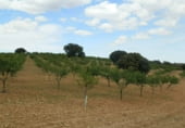 Finca rústica en venda a la Balazote, ref.: TR7653 foto