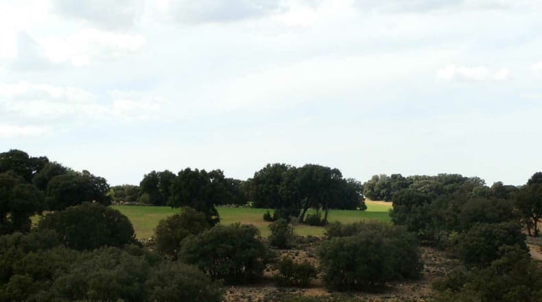 Albacete - Balazote - 4750000m2