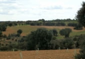 Finca rústica en venda a la Balazote, ref.: TR7653 foto