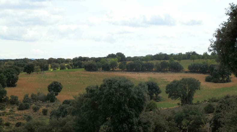 Albacete - Balazote - 4750000m2