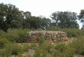 Foto 18