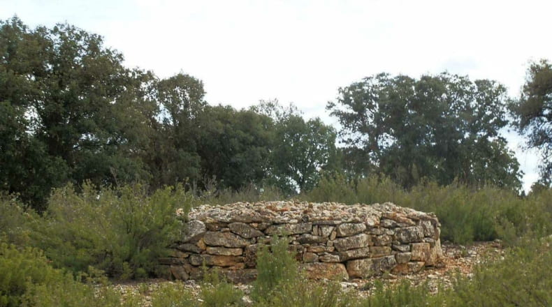 Albacete - Balazote - 4750000m2
