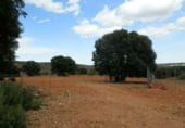 Finca rústica en venda a la Balazote, ref.: TR7653 foto
