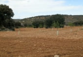 Finca rústica en venda a la Balazote, ref.: TR7653 foto
