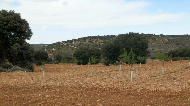 Albacete - Balazote - 4750000m2