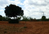 Finca rústica en venda a la Balazote, ref.: TR7653 foto