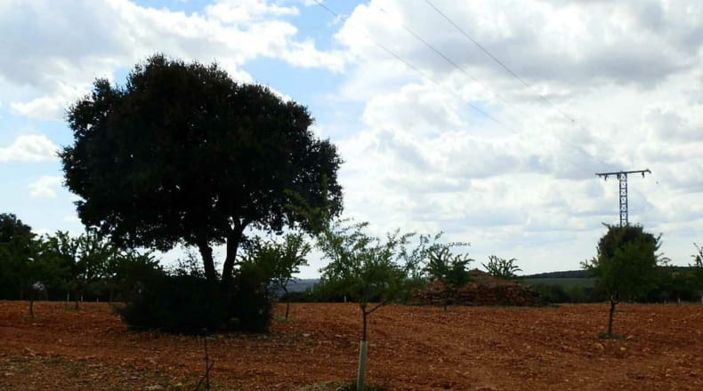 Albacete - Balazote - 4750000m2