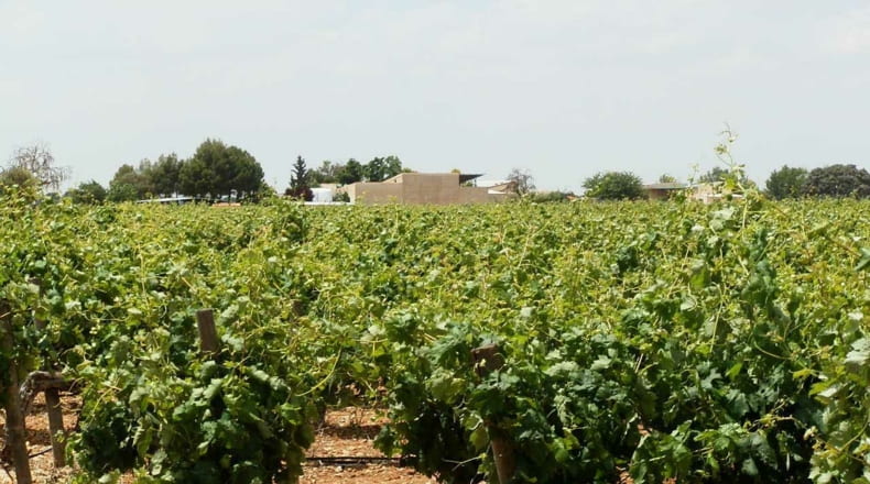 Albacete - Villarrobledo - 460000m2