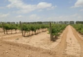 Terreno no urbanizable en venta en la Villarrobledo, ref: TR7650 foto