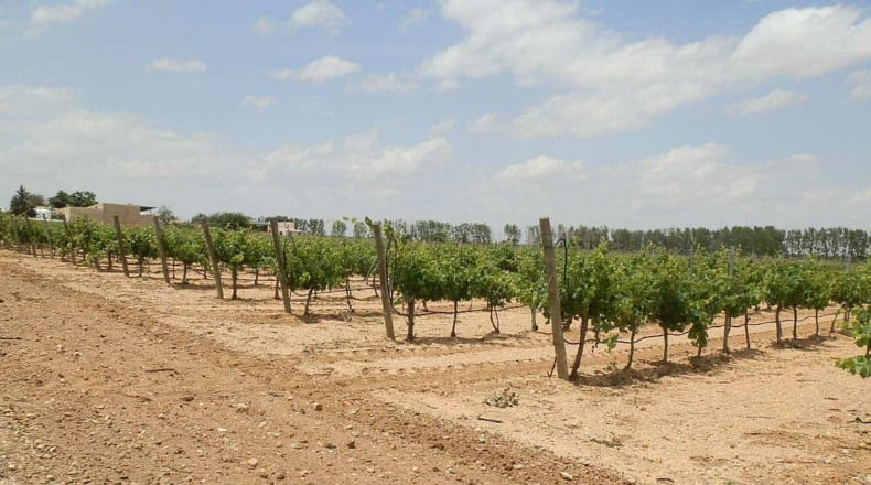 Albacete - Villarrobledo - 460000m2