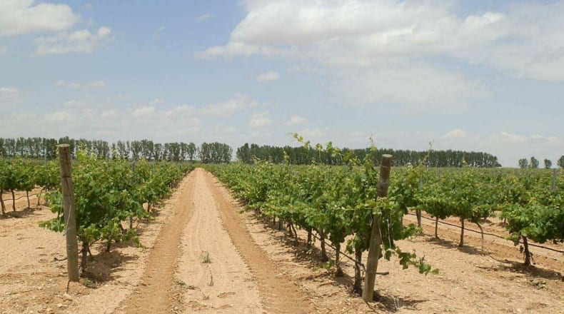 Albacete - Villarrobledo - 460000m2