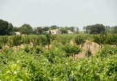 Finca rústica en venda a la Villarrobledo, ref.: TR7648 foto