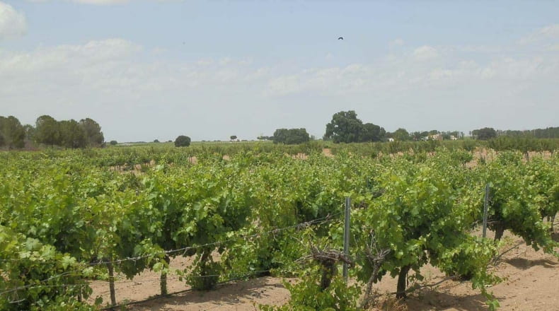 Albacete - Villarrobledo - 718500m2