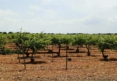 Finca rústica en venda a la Villarrobledo, ref.: TR7648 foto
