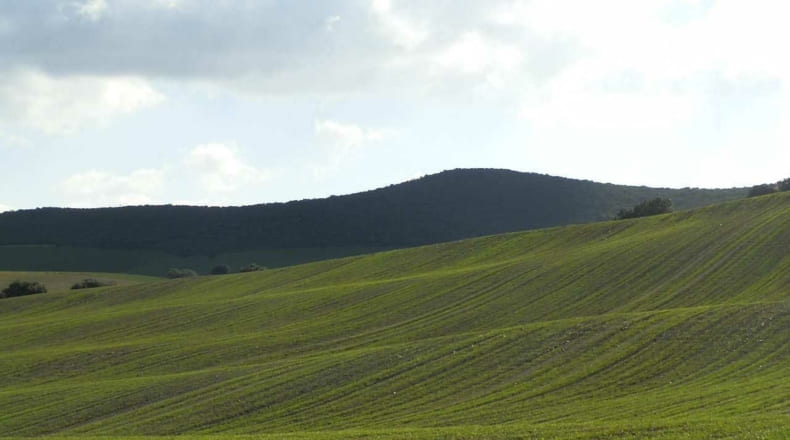 Ciudad Real - Viso del Marqués - 500000m2