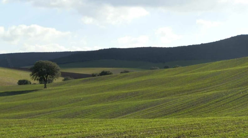 Ciudad Real - Viso del Marqués - 500000m2