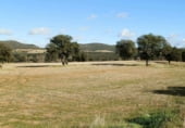Terreno no urbanizable en venta en la Viso del Marques, Viso del Marqués, ref: TR7645 foto