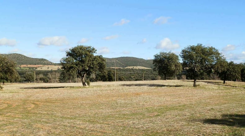 Ciudad Real - Viso del Marqués - 500000m2
