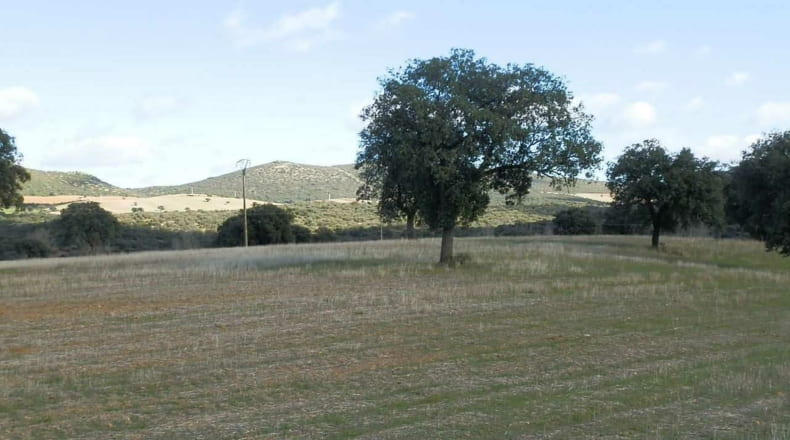 Ciudad Real - Viso del Marqués - 500000m2
