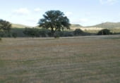 Terreno no urbanizable en venta en la Viso del Marques, Viso del Marqués, ref: TR7645 foto