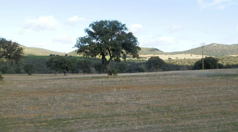 Ciudad Real - Viso del Marqués - 500000m2