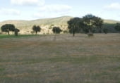 Terreno no urbanizable en venta en la Viso del Marques, Viso del Marqués, ref: TR7645 foto