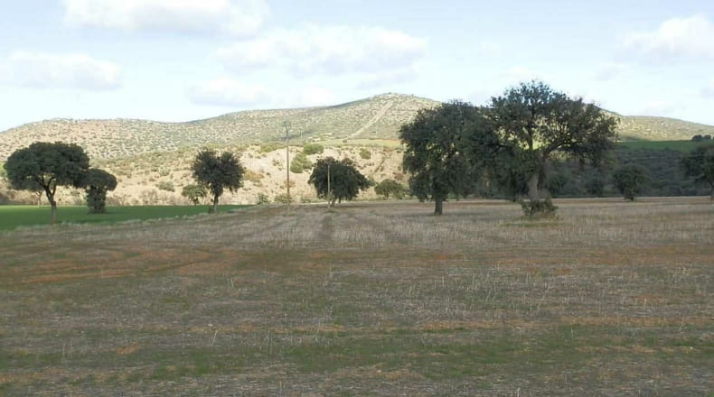 Ciudad Real - Viso del Marqués - 500000m2
