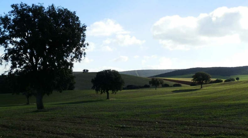 Ciudad Real - Viso del Marqués - 500000m2