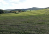 Terreno no urbanizable en venta en la Viso del Marques, Viso del Marqués, ref: TR7645 foto