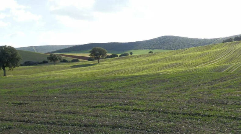 Ciudad Real - Viso del Marqués - 500000m2