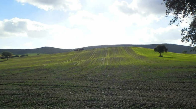 Ciudad Real - Viso del Marqués - 500000m2