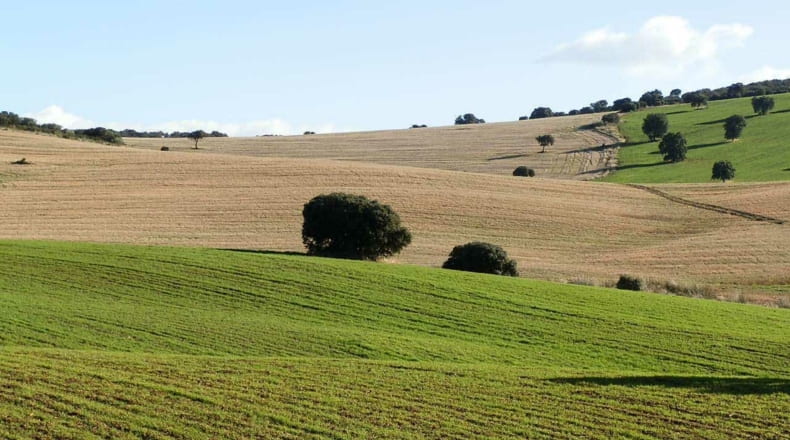 Ciudad Real - Calzada de Calatrava - 470000m2