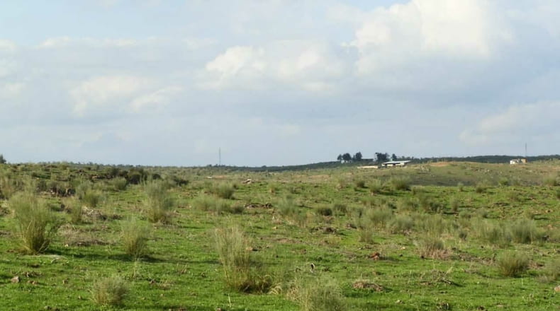 Cáceres - Alcántara - 5120000m2