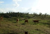 Finca rústica en venda a la Alcantara, Alcántara, ref.: TR7641 foto