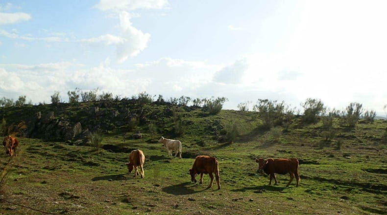 Cáceres - Alcántara - 5120000m2