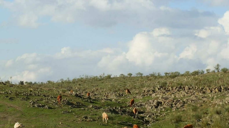 Cáceres - Alcántara - 5120000m2