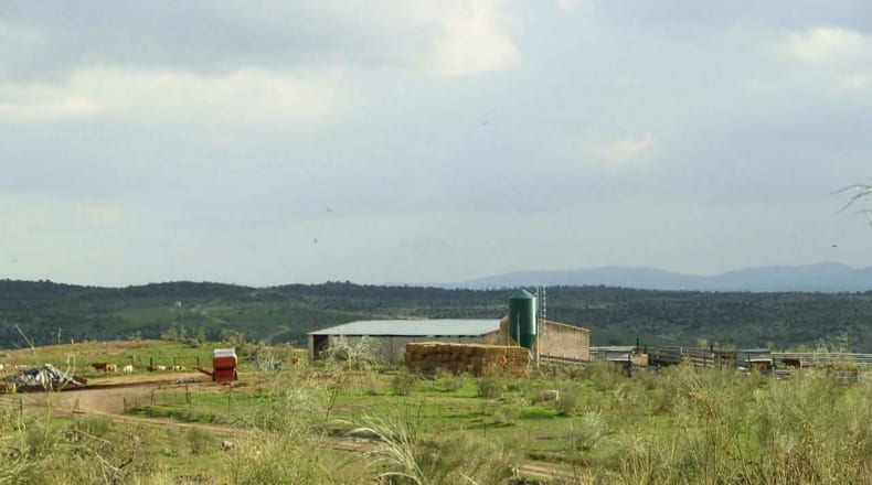 Cáceres - Alcántara - 5120000m2