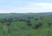 Finca rústica en venda a la Alcantara, Alcántara, ref.: TR7641 foto
