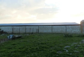 Foto 13